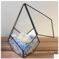 Planten Glas Terrarium Geometrisch Pentagon Varen Mos